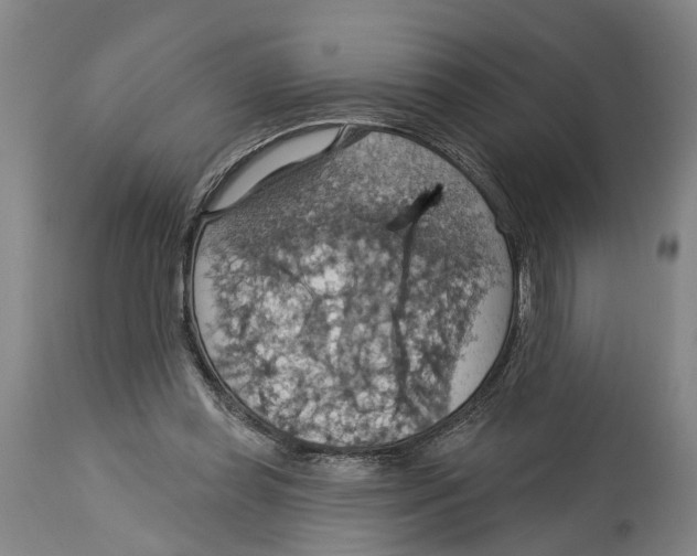 X0000114420349200911131456