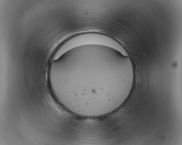 X0000114420350200911131456