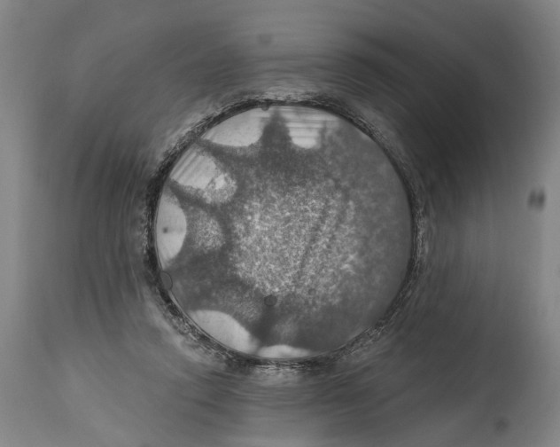 X0000114420354200911131456