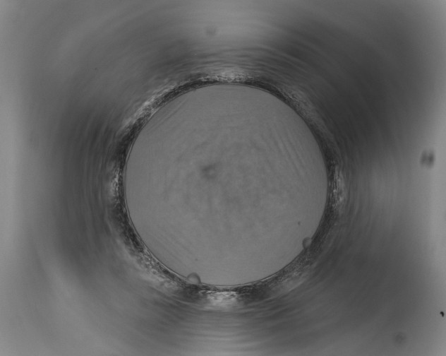 X0000114420355200911131456