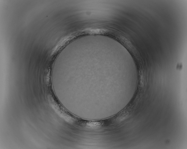 X0000114420357200911131456