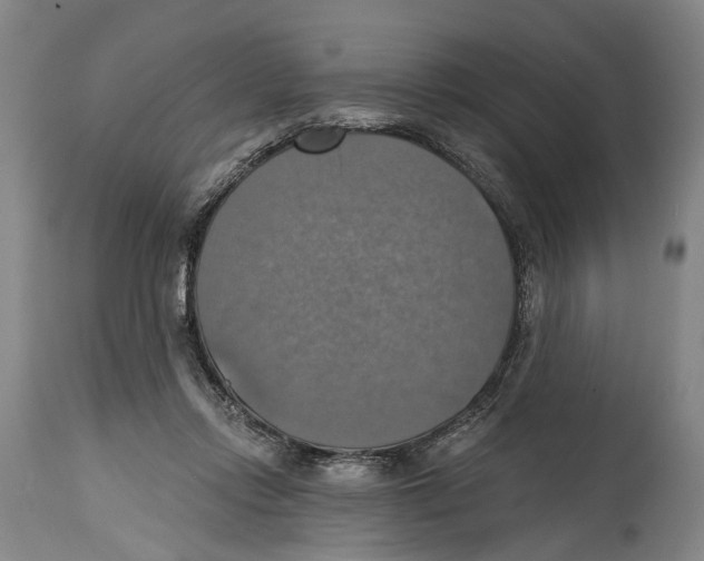 X0000114420358200911131456