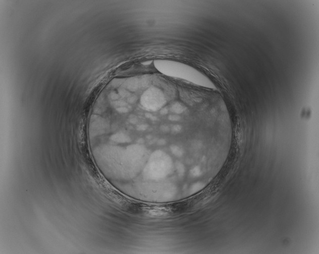 X0000114420359200911131456