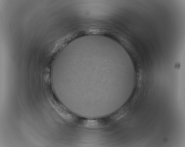 X0000114420361200911131456