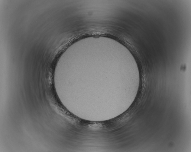 X0000114420362200911131456