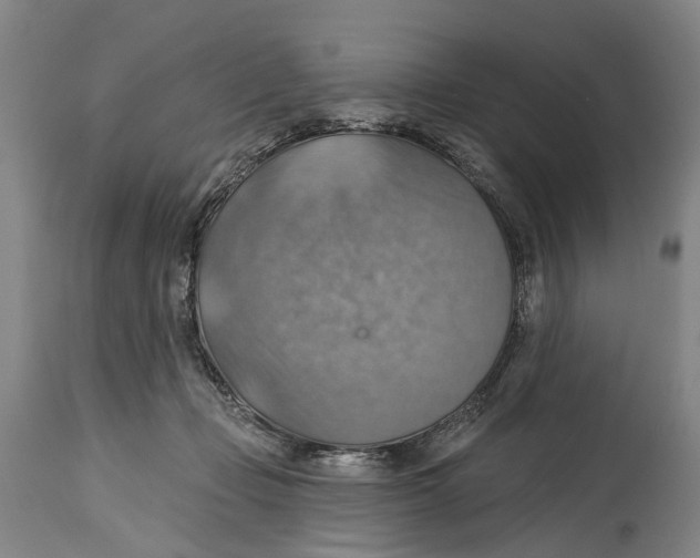 X0000114420365200911131456