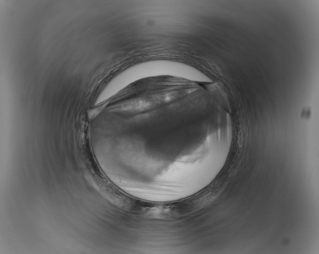 X0000114420366200911131456