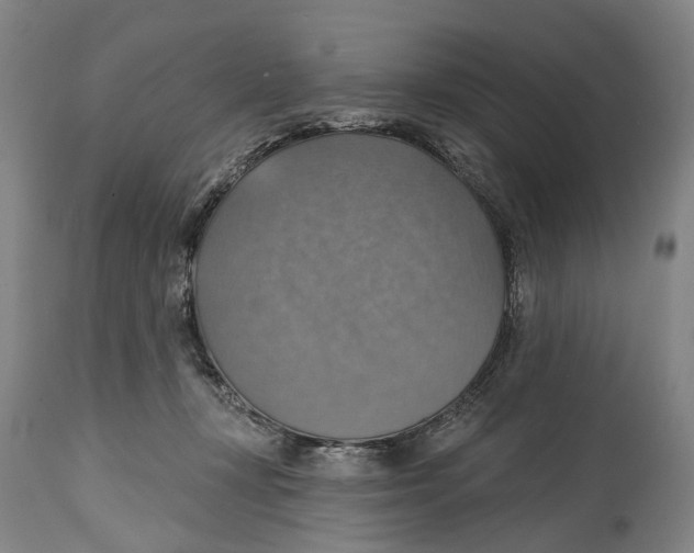 X0000114420367200911131456