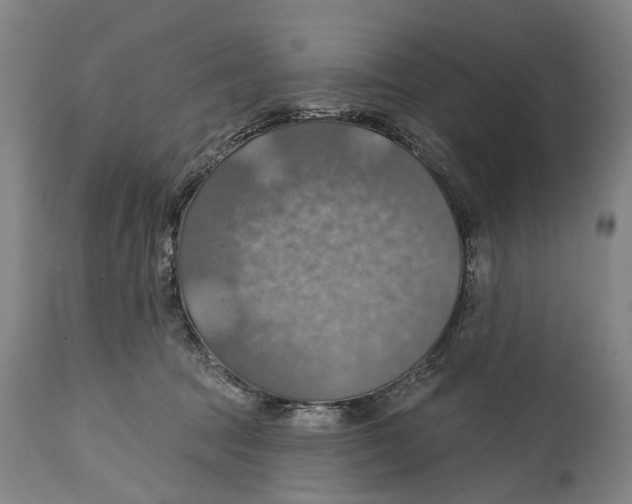 X0000114420369200911131456