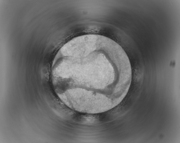 X0000114420370200911131456