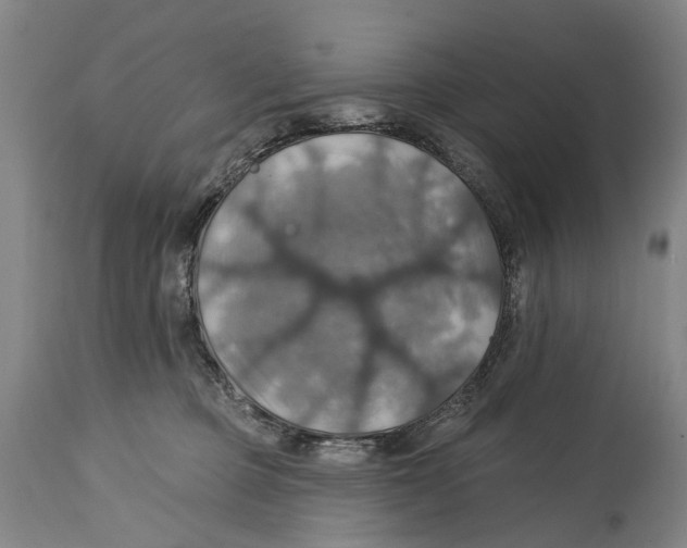 X0000114420373200911131456