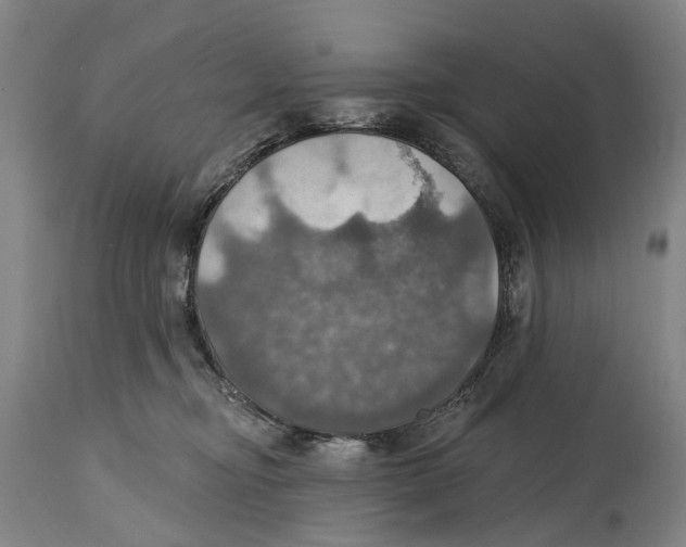 X0000114420374200911131456