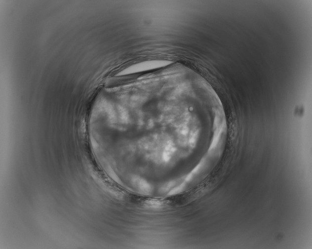 X0000114420375200911131456