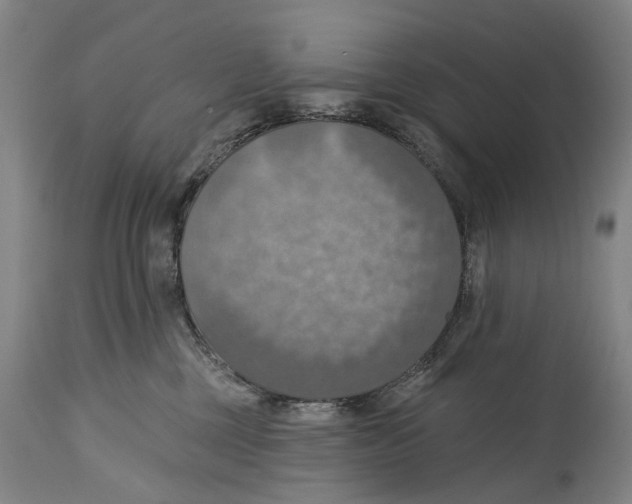 X0000114420377200911131456