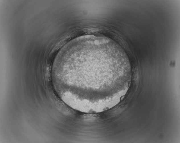 X0000114420378200911131456