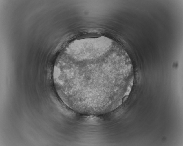 X0000114420379200911131456