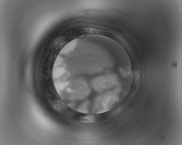 X0000114420381200911131456