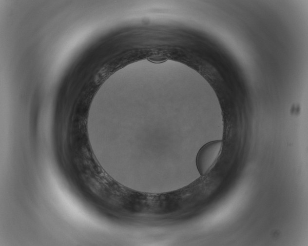 X0000114420383200911131456