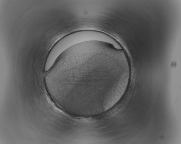 X0000114420385200911131455