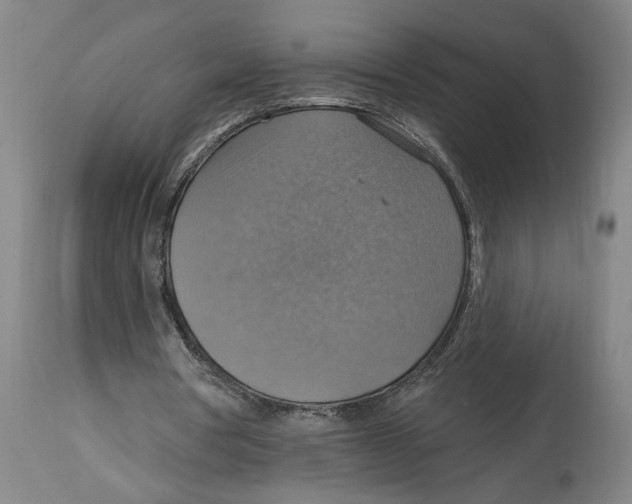 X0000114420386200911131455