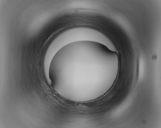 X0000114420387200911131455