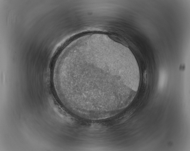 X0000114420388200911131455