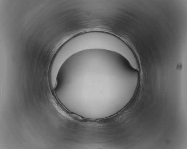 X0000114420389200911131455