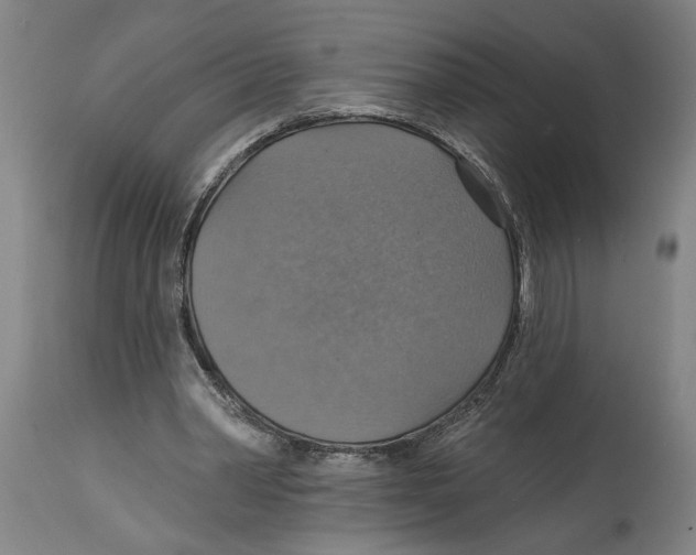 X0000114420390200911131455