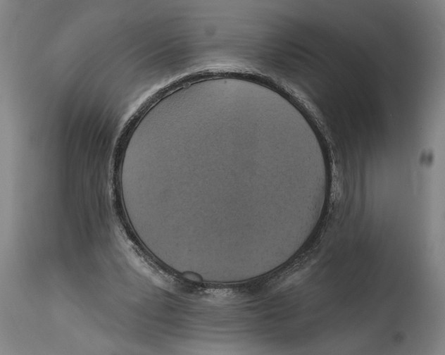 X0000114420391200911131455