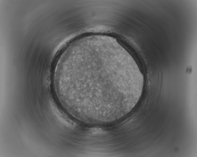 X0000114420392200911131455