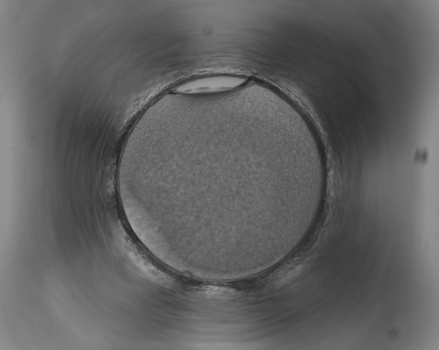 X0000114420393200911131455