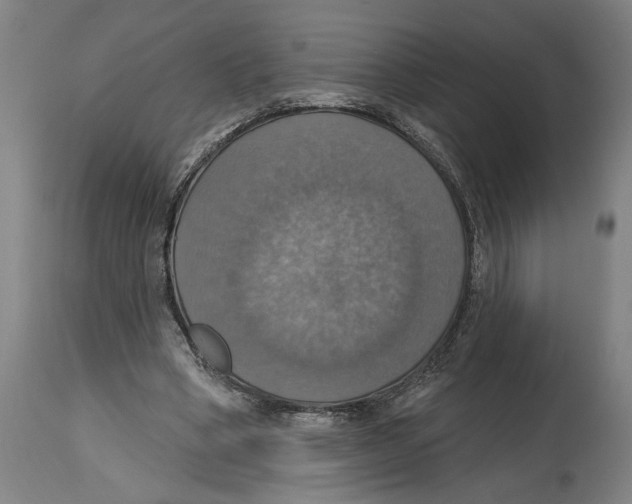 X0000114420394200911131455