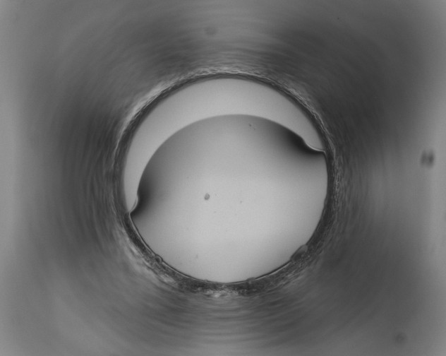 X0000114420395200911131455