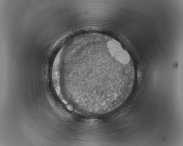 X0000114420396200911131455