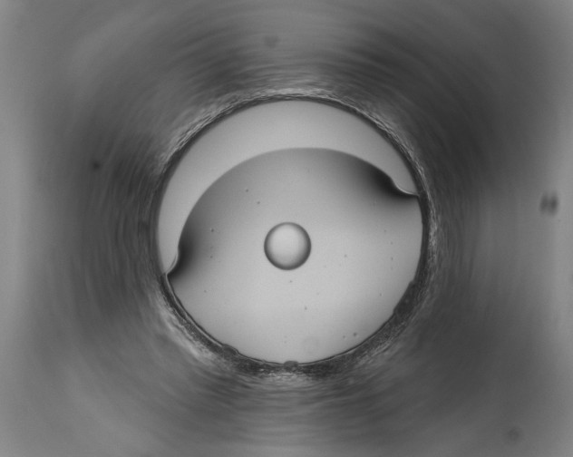 X0000114420397200911131455