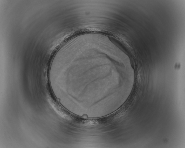 X0000114420398200911131455