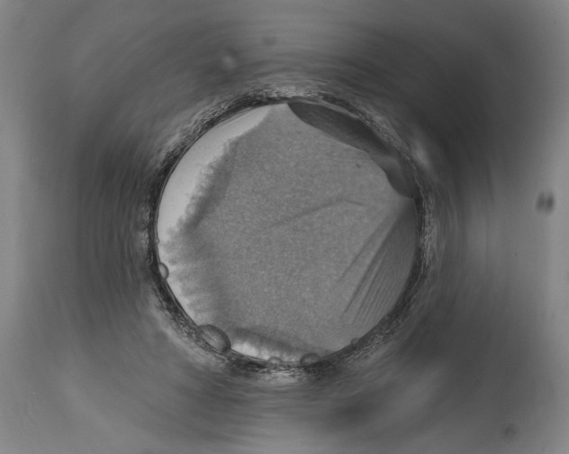 X0000114420402200911131455