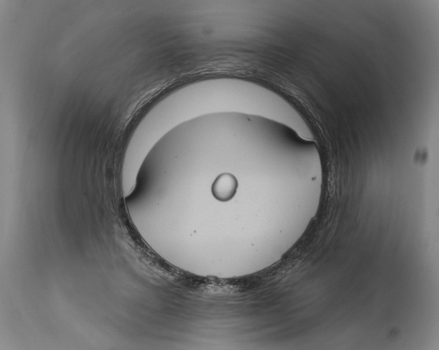 X0000114420403200911131455