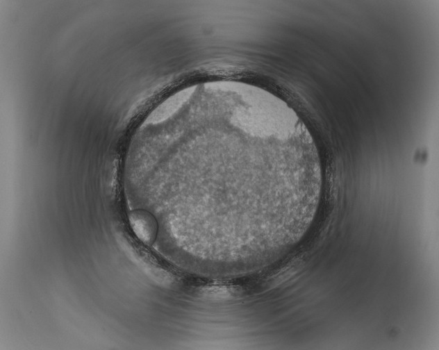 X0000114420404200911131455