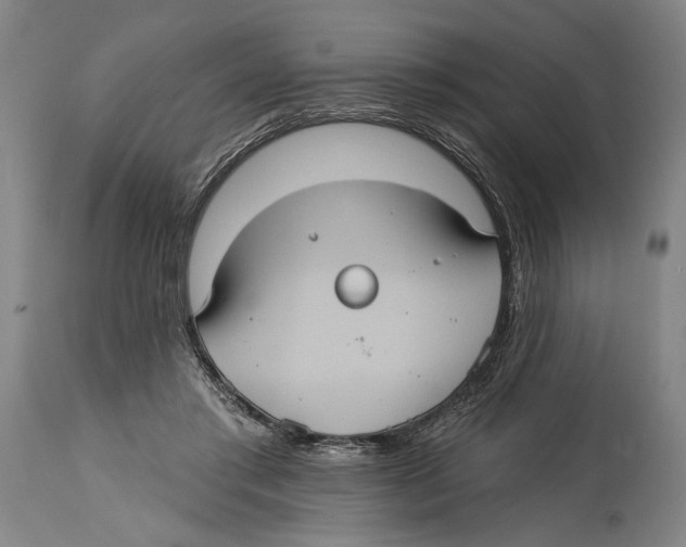 X0000114420405200911131455