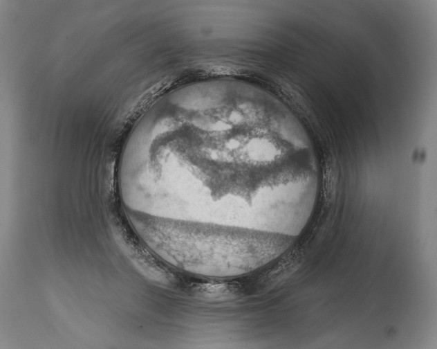 X0000114420406200911131455