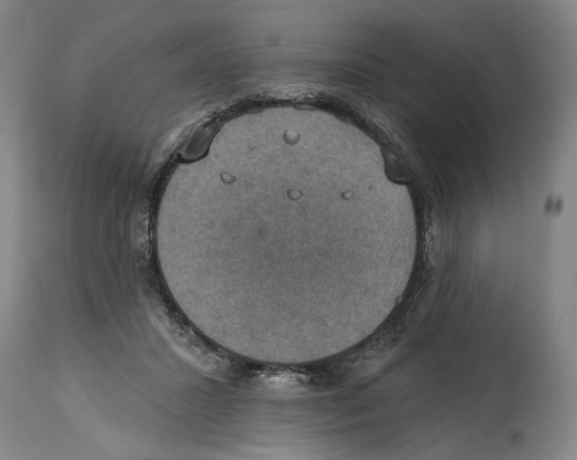 X0000114420407200911131455