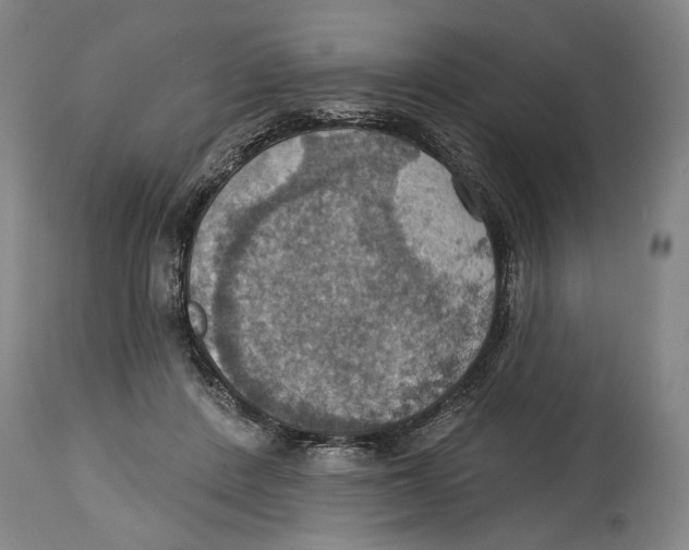 X0000114420408200911131455