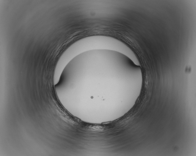 X0000114420409200911131455