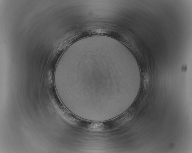 X0000114420410200911131455