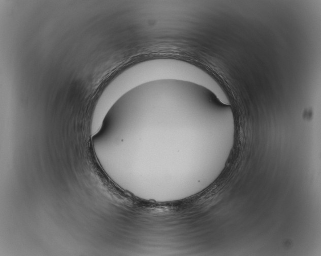 X0000114420411200911131455