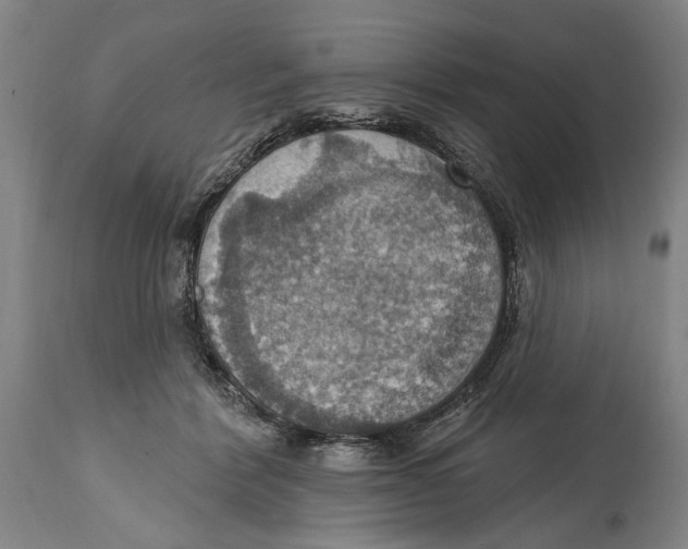 X0000114420412200911131455