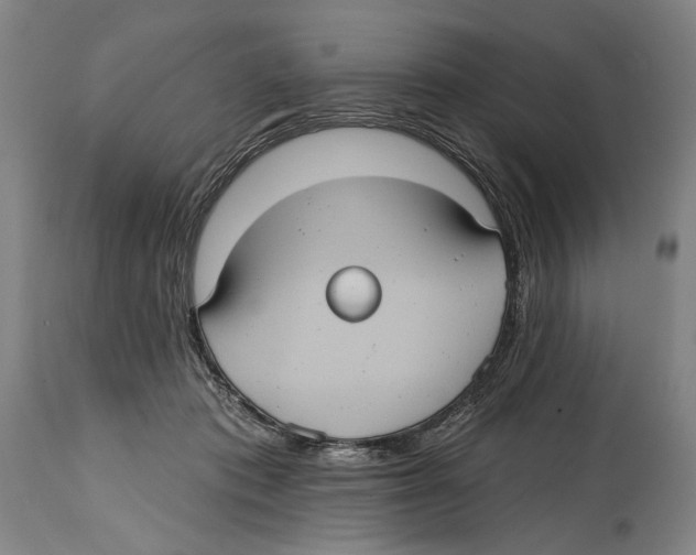 X0000114420413200911131455