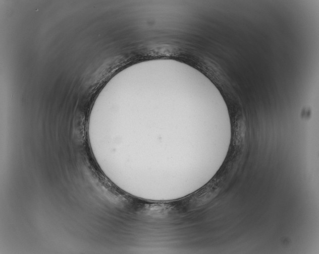 X0000114420414200911131455