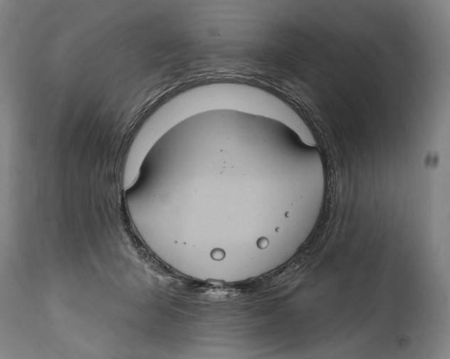 X0000114420415200911131455